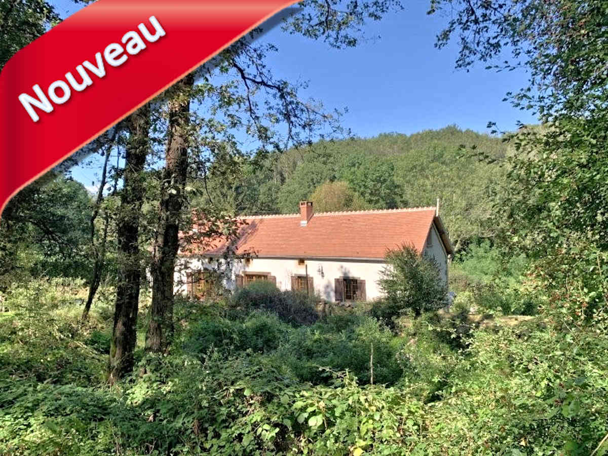 Moulin fondé en titre et sur titre 6 pièces à vendre en Combrailles, maison de meunier gîte 8 pièces, sur 3,8 ha de prairies. Possibilité activité de gîte ou chambres d’hôtes