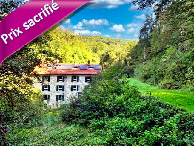 Moulin fondé en titre à vendre proche Saint-Amour Jura: 450 m² hab. chauffés, 12 pièces, gîte de luxe 5 étoiles 14 couchages, appartement privé indépendant